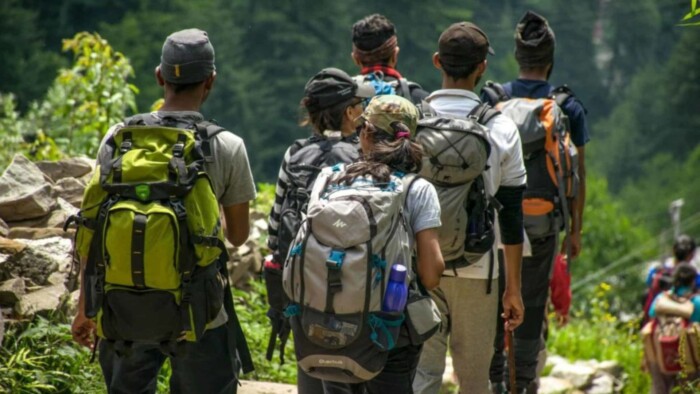 People Hiking in the Forest in the Malaysia